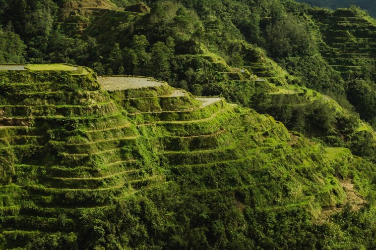 6 UNESCO World Heritage Sites In The Philippines Pinned PH   Scenic Photo Of Rice Terraces During Daytime 3698532 758x505 