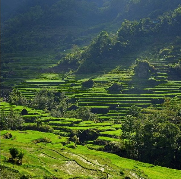 Batad Rice Terraces